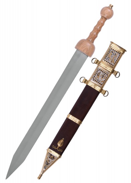 Römischer Gladius Typ Pompeji aus dem 1. Jh. mit Scheide. Das Schwert hat eine polierte Klinge und einen hölzernen Griff. Die Scheide ist detailliert mit Metallakzenten verziert.